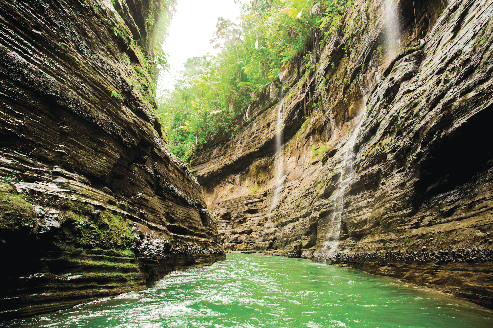 River canyon waterfalls, Fiji - Narrow canyon walls with small waterfalls on the Navua River