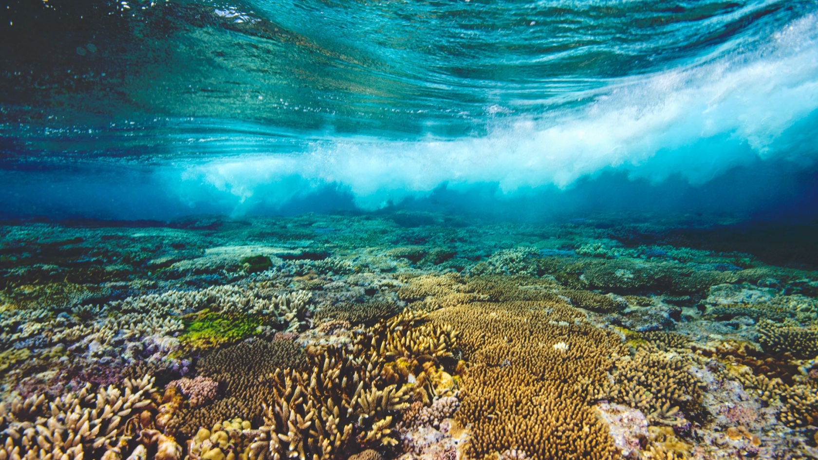 top tourist attractions australia - great barrier reef