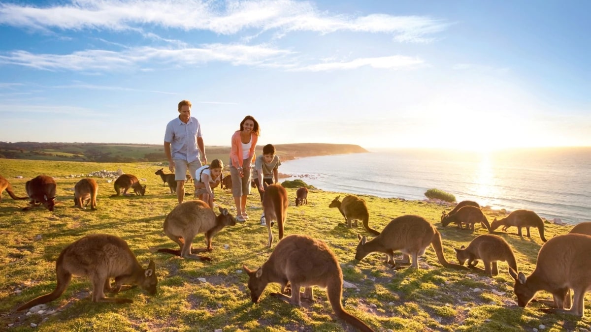 top 10 tourist attractions australia - kangaroo island