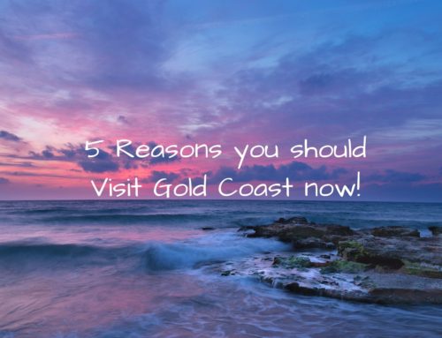 5 Reasons you should Visit Gold Coast now!