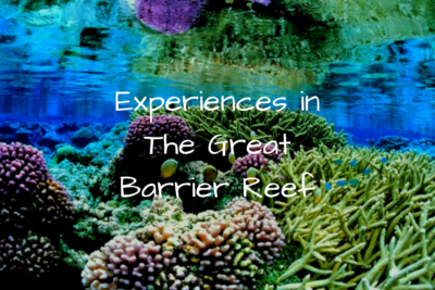 things to do great barrier reef