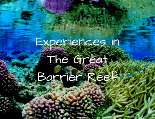 Experiences in The Great Barrier Reef!